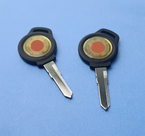 Blank key fits royal - 2x,