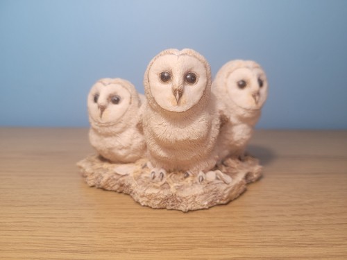 Barn owlets border - barn, (three)