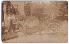 RPPC Postcard Horse Pony Trap