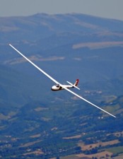 Ciani EC.37/53 Spillo 236"