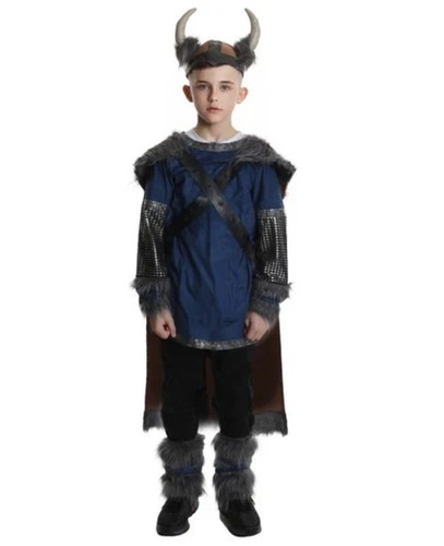 Viking warrior costume norse - viking,
