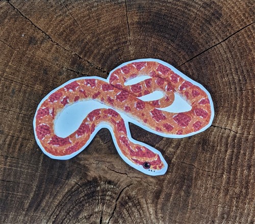 Corn snake name tag sticker - corn,