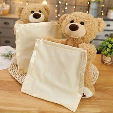 Peek A Boo Teddy Bear Plush