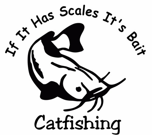 Catfishing has scales - has,