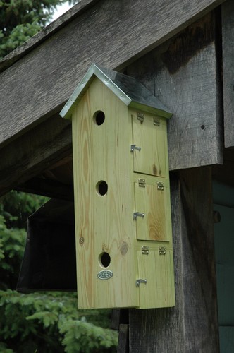 Bird house flat nest - house,