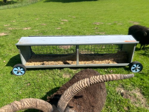 Sheep hay feeder - sheep, wheels