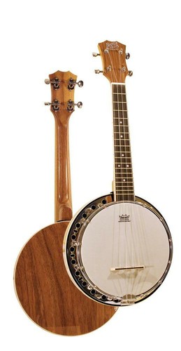 Barnes mullins ubj1 banjo - barnes,