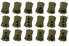 Pair Black on Olive Green Rank