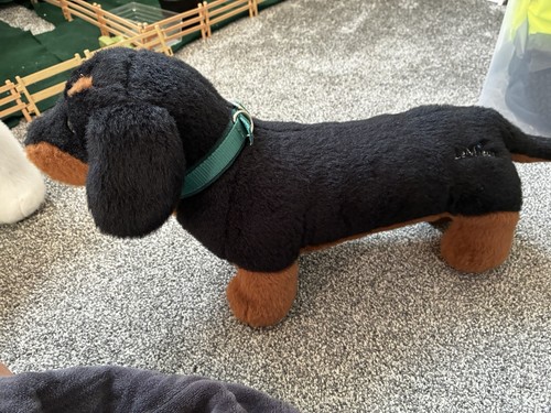 Mieux puppies 2 - mieux,