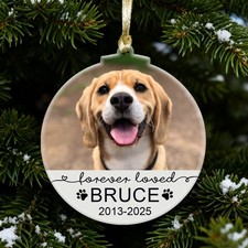 Personalised Pet Memorial In