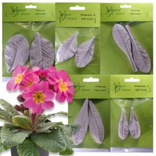 Leaf Veiner Mould PRIMROSE -