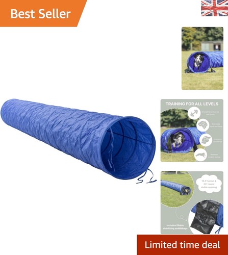 Easy set blue dog - set-up, agility