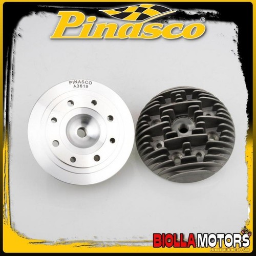 25243619 pinasco vrh - pinasco, head