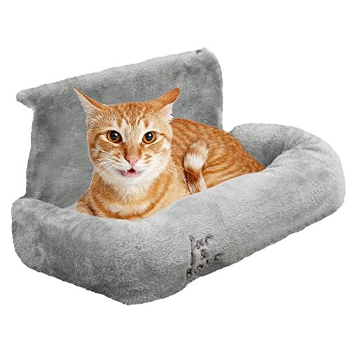 Cosy cat dog pet - dog,