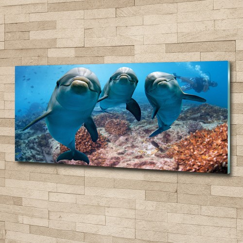 Tulup glass print wall art - glass,