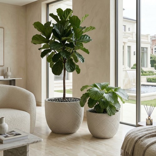 Round concrete planter - round,