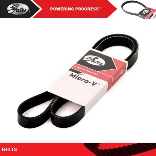 Gates micro belt for - gates, oe