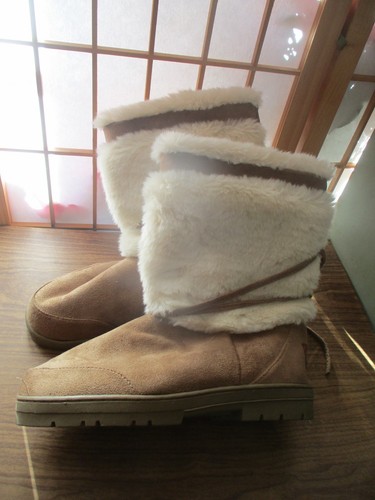 Red rock ladies - rock, winter