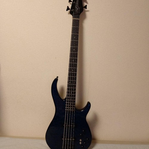 Peavey string electric bass - 5-string,