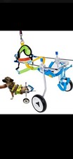 HobeyHove Adjustable Dog