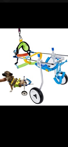 Hobeyhove adjustable dog - hobeyhove,