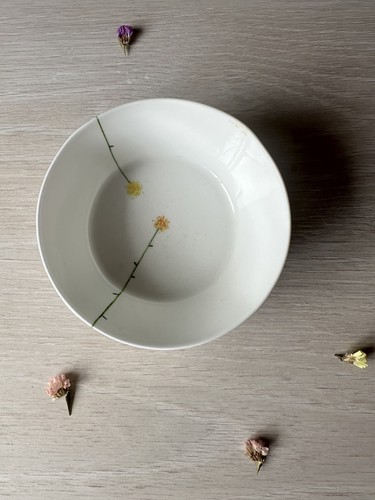 Aynsley fine bone china daisy - fine,
