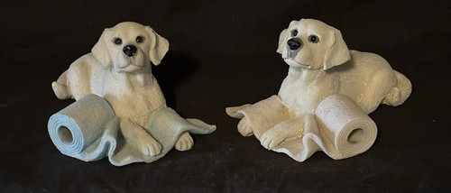 Pair labrador puppies - pair, of