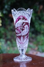 Hofbauer Byrdes 24% Lead