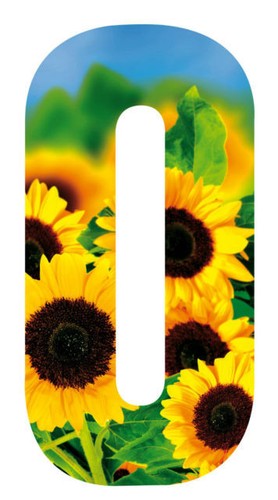 Sunflower design wheelie bin - sunflower,