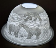 Polar Bears & Sea Lions -