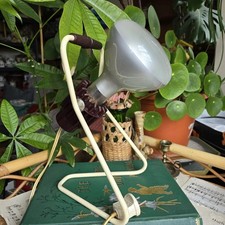 Vintage 60s Phillips Holland