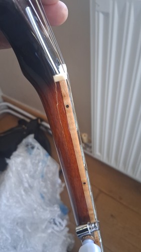 Gold tone ob250 - gold, neck