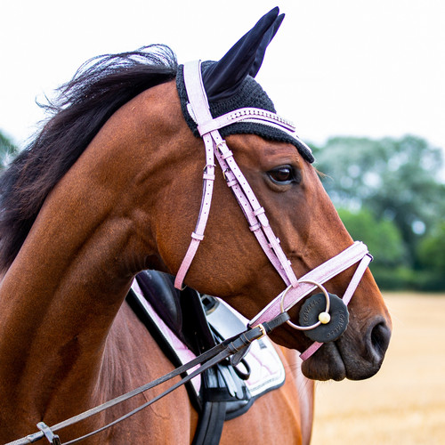 Sparkle bridle brow band - bridle,