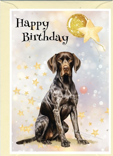 German shorthaired pointer - shorthaired,