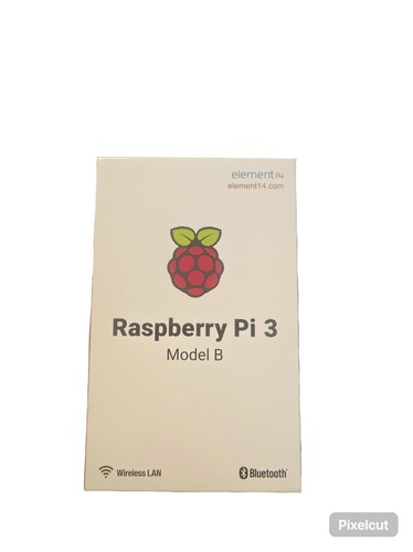 Raspberry model b - raspberry,