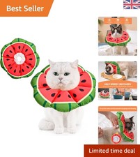 Cute and Comfy Watermelon Cat