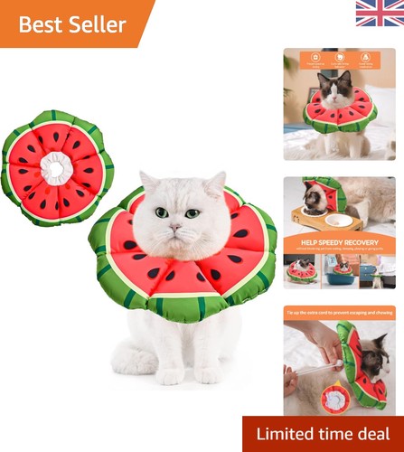 Cute and comfy watermelon cat - and,