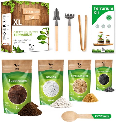 Diy terrarium kit starter - diy, set