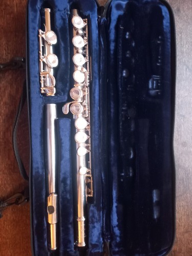 Trevor james privèlege flute - james,
