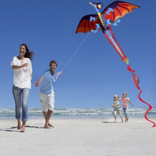 Pterosaur 3D Dragon Kite Good Flying Outdoor Flying Kite  Kid & Adult