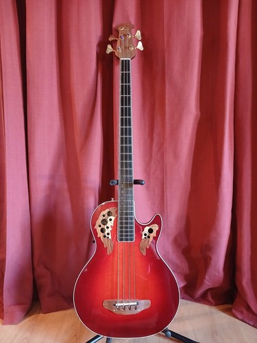 Ovation ceb44 celebrity - ovation,