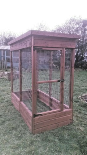 Garden display bird - display,