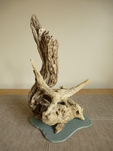 Driftwood sculpture 33cm high - driftwood,