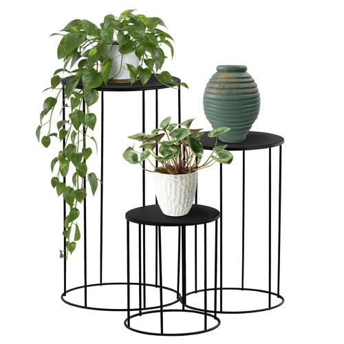 Plant stand indoor - plant,