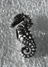 REDBALIFROG Seahorse Guardian