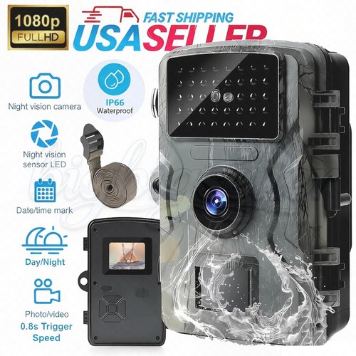 Wildlife hunting trail camera - wildlife,