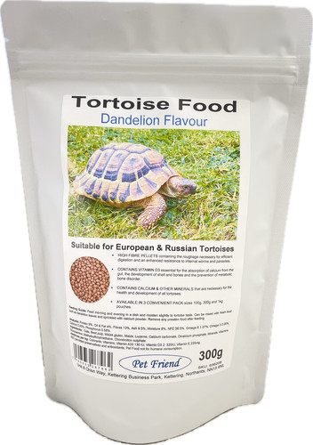 Pet friend tortoise - friend,