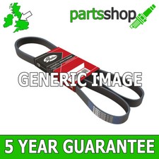 Gates Multi Rib Auxiliary