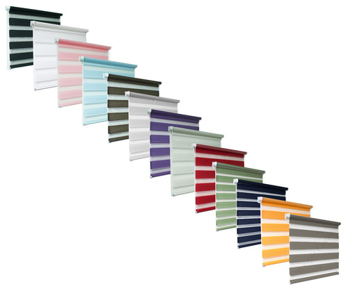 Day and night zebra roller - day,