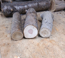 3 Fully seasoned hardwood log